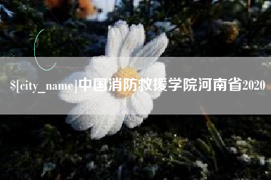 雄安新区中国消防救援学院河南省2020